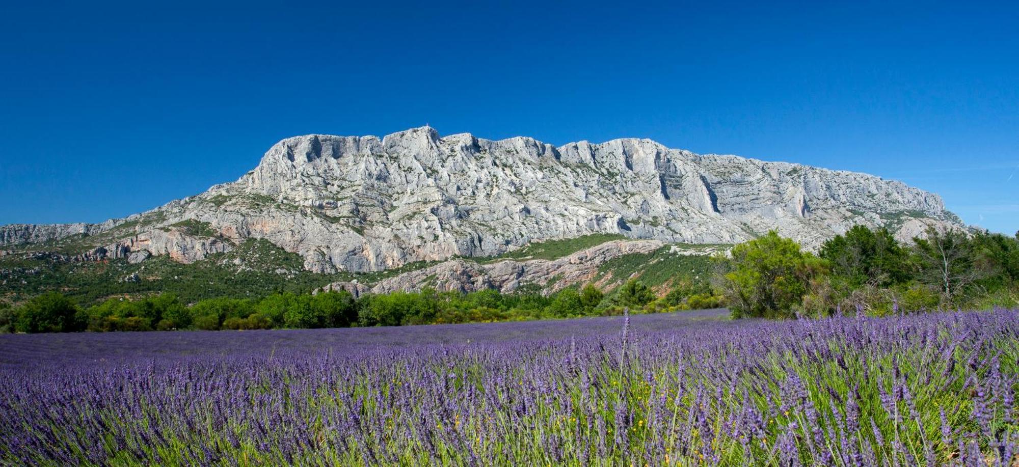 Roucas - Sud Passion - Calme - Fibre Apartment *